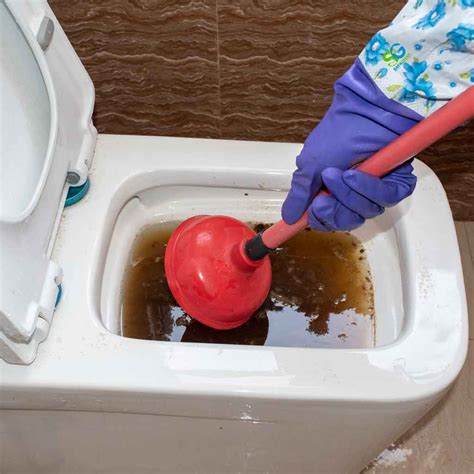 Clogged Toilet