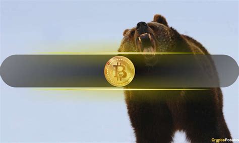 Worrying Signs: Is Bitcoin Price About to Plunge Further?