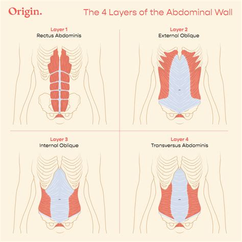 How to Prevent Diastasis Recti | Origin