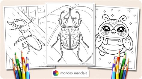 Realistic Bug Coloring Pages