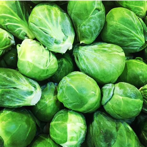 Image result for Folate Folic Acid