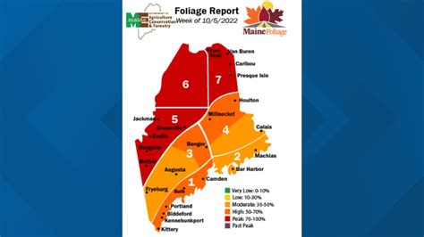 Maine foliage conditions reaching peak in latest foliage report ...