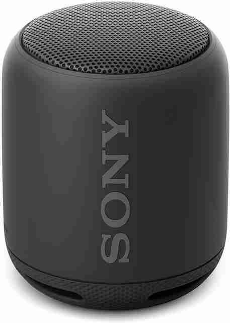 Buy SONY XB10 with 16Hrs Playtime, IPX5 Splashproof 10 W Portable ...