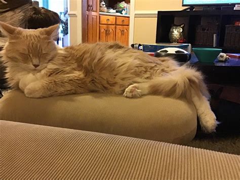 VALDOSTA-LOWNDES COUNTY FAMILY YMCA - Valdosta GA - Hours, Directions ...