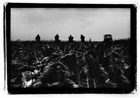 George Booth-Cole: BÁNYA - exhibition and film screening, Baross utca ...