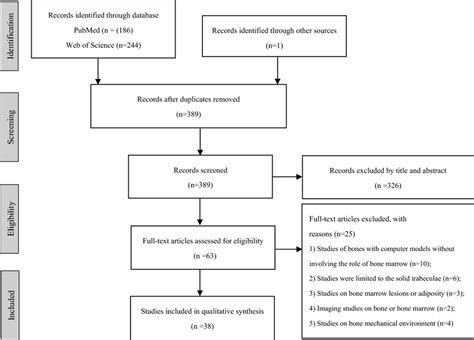 Image result for Selection Structure Python Flowchart