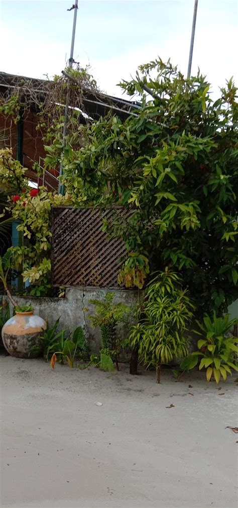 𝗧𝗛𝗘 𝟭𝟬 𝗕𝗘𝗦𝗧 Hotels in Keyodhoo Island of 2026 (with Prices)