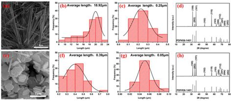 Morphology-Dependent Behavior of PVDF/ZnO Composites: Their Fabrication ...