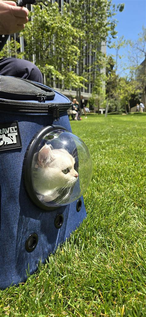 "The Fat Cat" Cat Backpack - For Larger Cats - Bubble Cat Carrier