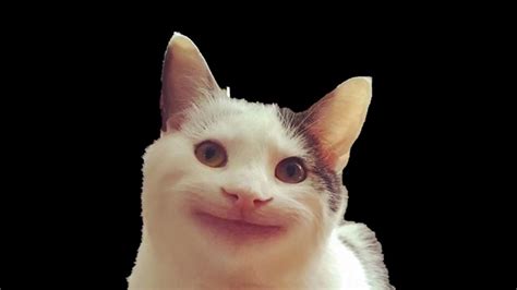 Image result for Subset in Python