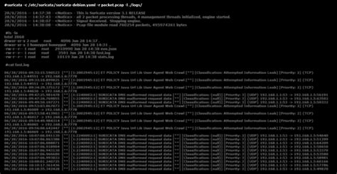 Pcap File 的图像结果