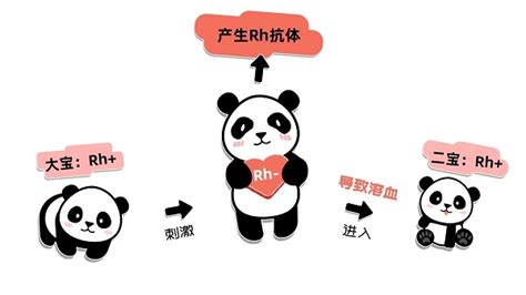 中华医学会 科普图文 生二胎，是“熊猫血”妈妈的禁忌吗？