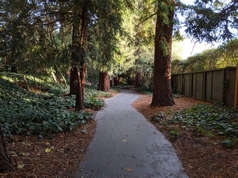 Holbrook Palmer Park Atherton : r/bayarea