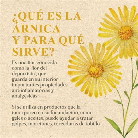 ¿Qué es la árnica y para qué sirve? ?? – Farmacia Bacardí