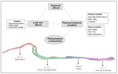 The Impacts of Land Use and Seasonal Effects on Phytoplankton Taxa and ...