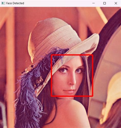 Image result for Python-Opencv Process Face Image