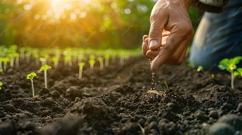 Premium Photo | A farmer sowing seeds in fertile soil on a sunny day ...
