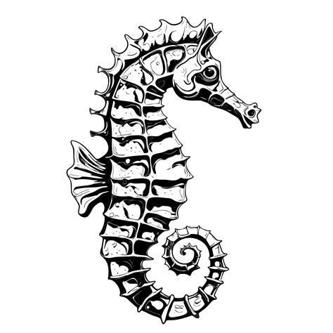 Sea Horse Clip Art Black And White