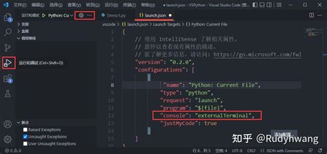How to Install vs Code Java and Python 的图像结果