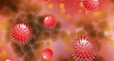 Remdesivir Not Suitable For All COVID Patients: Expert - IBTimes India