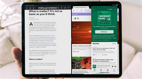 Screen Split Screen View 的图像结果