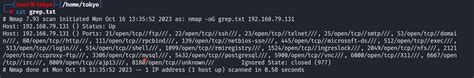 Nmap Output Examples 的图像结果