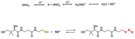 Synthesis and Chromatographic Determination of S-Nitrosopantetheine ...