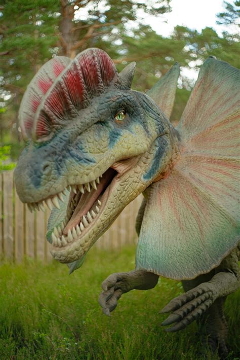 Realistic Dinosaurs Photos, Download The BEST Free Realistic Dinosaurs ...