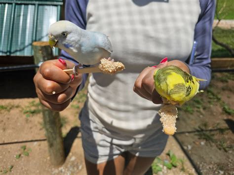 Adventure that You Can Touch: Atlanta Safari Park Review | Product ...