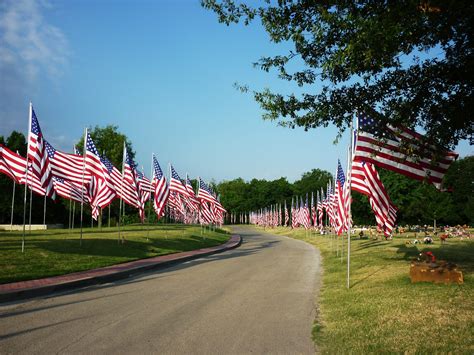 Ramblings from my treehouse