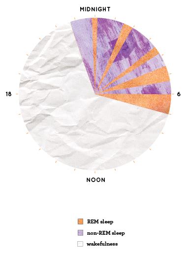 Narcolepsy Sleep Cycle Graph 的图像结果
