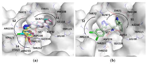 From BACE1 Inhibitor to Multifunctionality of Tryptoline and Tryptamine ...