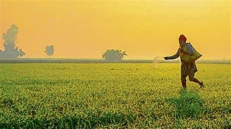 ICAR signs MoU with Amazon Kisan to guide farmers on scientific ...