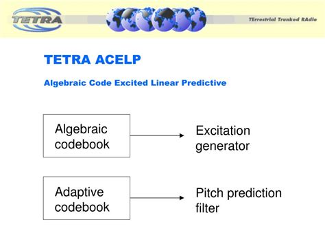 Image result for Decoding Tetra