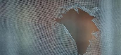 Install Window Screen Inside 的图像结果