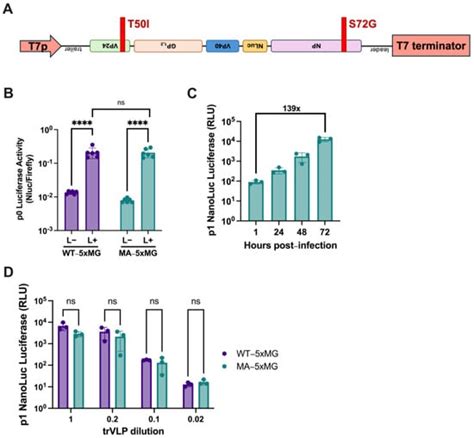 Viruses | Special Issue : BSL4 Viruses: Understanding and Controlling ...