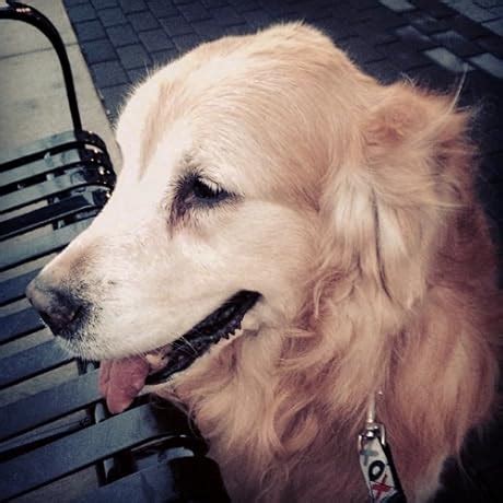 Buy Complete GMAT Strategy Guide Set Book Online at Low Prices in India ...