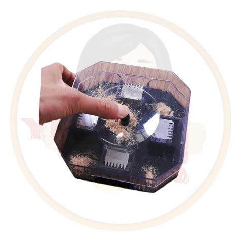 How to Make a Cockroach Trap 的图像结果