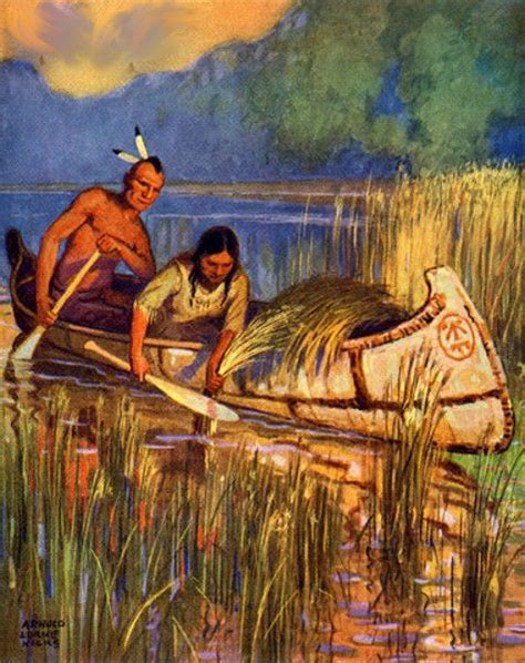 Native American Wild Rice Harvest Traditional Foods