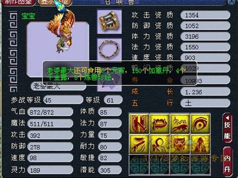 梦幻西游：玩家鉴定160级武器，强化打造非专用属性_东方体育