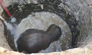 List of Top Events in Raipur: Top Events Near You