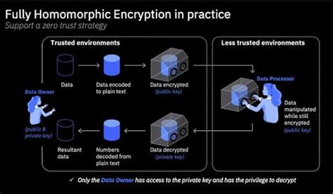 Image result for Homomorphically Encrypted