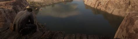 Image result for RDR2 All Animals Map