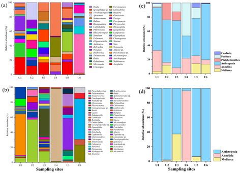 A Study on the Community and Ecological Characteristics of Benthic ...
