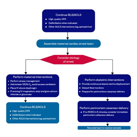 AHA ACLS Algorithms & Flowcharts 2020-2025: Emergency Cardiovascular ...
