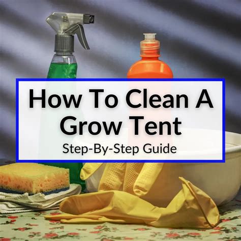 How To Clean A Tent at Chris Erickson blog