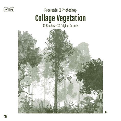 Procreate & Photoshop Collage Vegetation Brushset & Cutouts | Toffu Co