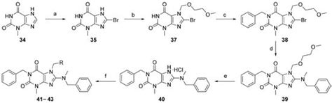 Structure–Activity Relationship Studies in a Series of Xanthine ...