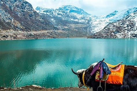 2023 Tsomgo Lake & Baba Mandir Excursion trip From Gangtok