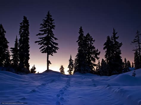 与日落和森林的冬天风景 库存图片. 图片 包括有 照亮, 新建, 神仙, 小径, 晚上, 庄严, 人们, 冻结 - 48547751